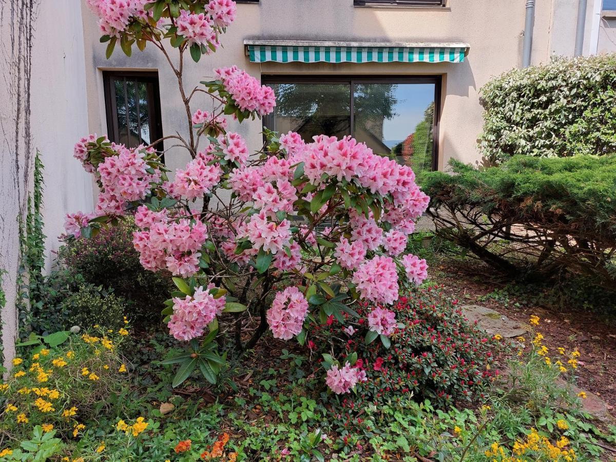 Appartamento Le Denyspuech 55M2 Plein Centre Avec Jardin! Rodez Esterno foto